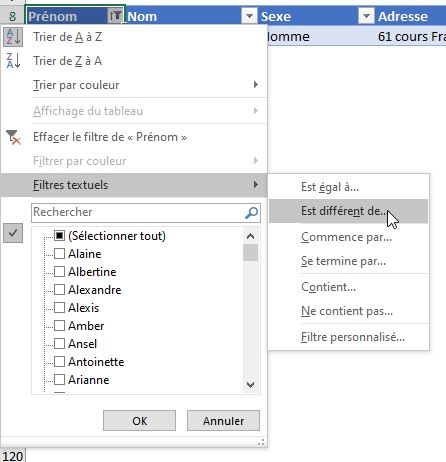 Excel formation - tri et filtre tableau de données excel - 21