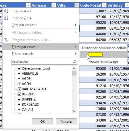 Excel formation - tri et filtre tableau de données excel - 28