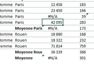 Excel formation - fonction SOUS.TOTAL - 20