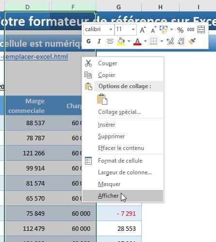 Excel formation - masquer des formules et données dans excel - 05