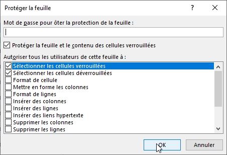 Excel formation - masquer des formules et données dans excel - 12