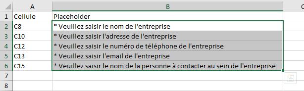 Excel formation - formulaire avec placeholder - p2 - 04