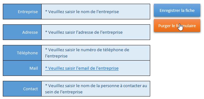 Excel formation - formulaire avec placeholder - p2 - 07