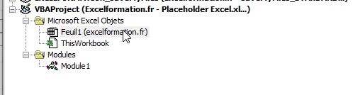 Excel formation - formulaire avec placeholder - 09