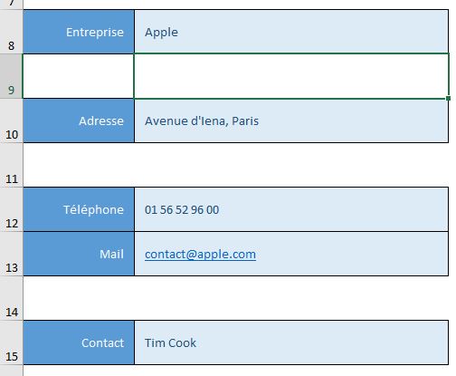 Excel formation - formulaire avec placeholder - 12