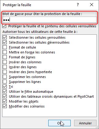 Excel formation - protéger les données - 07