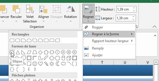 Excel formation - arbre généalogique - 06