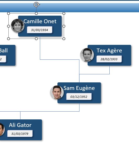 Excel formation - arbre généalogique - 14