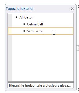 Excel formation - arbre généalogique - 18