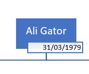 Excel formation - arbre généalogique - 22