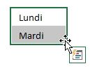 Excel formation - liste personnalisées - 01