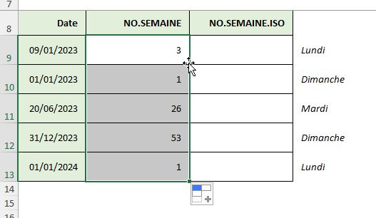 Excel formation - les num de semaine dans excel - 03