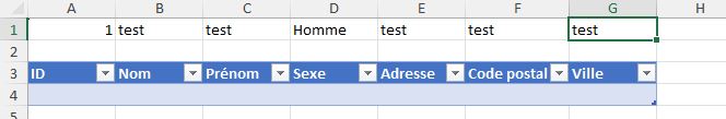 Excel formation - formulaire dynamique sans coder de vba - 35