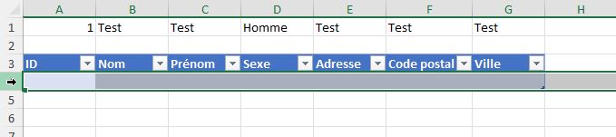 Excel formation - formulaire dynamique sans coder de vba - 42