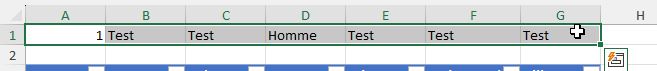 Excel formation - formulaire dynamique sans coder de vba - 43