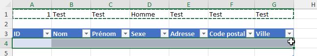 Excel formation - formulaire dynamique sans coder de vba - 44