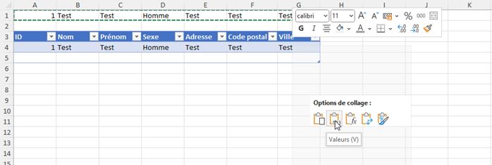 Excel formation - formulaire dynamique sans coder de vba - 45