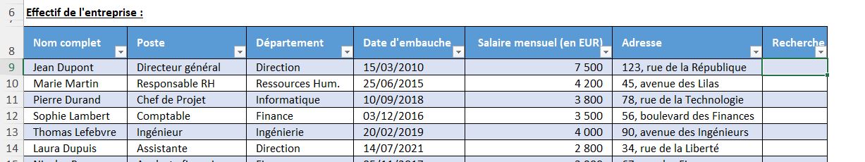 Excel formation - recherche en temps réel - 07