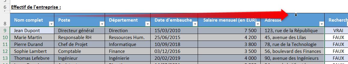 Excel formation - recherche en temps réel - 10