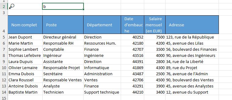 Excel formation - recherche en temps réel - 14