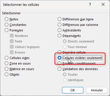 Excel formation - 0067-copierCellulesVisibles - 06