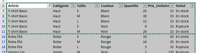 Excel formation - 0067-copierCellulesVisibles - 12
