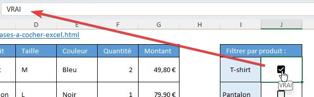 Excel formation - 0089-filtreCaseExcel - 07