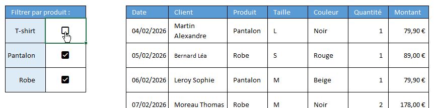 Excel formation - 0089-filtreCaseExcel - 10