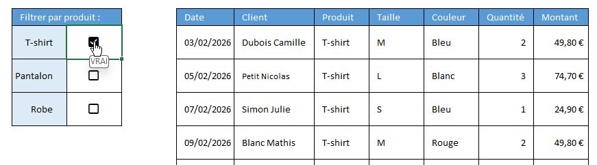 Excel formation - 0089-filtreCaseExcel - 12