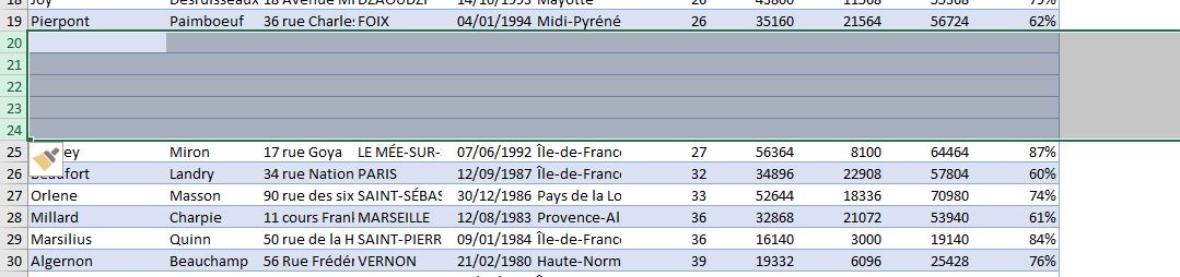Excel formation - Comment ajouter ou supprimer des lignes - 07