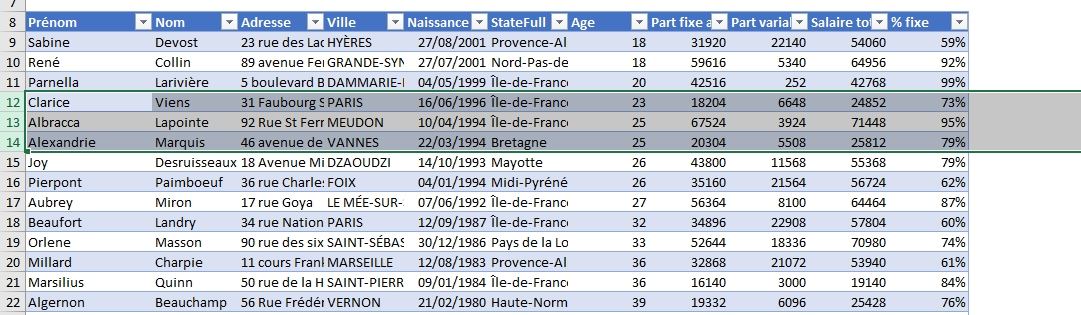 Excel formation - Comment ajouter ou supprimer des lignes - 15