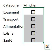 Excel formation - 0041-case à cocher - 13
