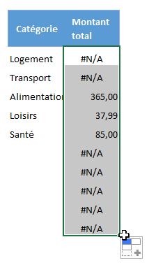 Excel formation - 0041-case à cocher - 14