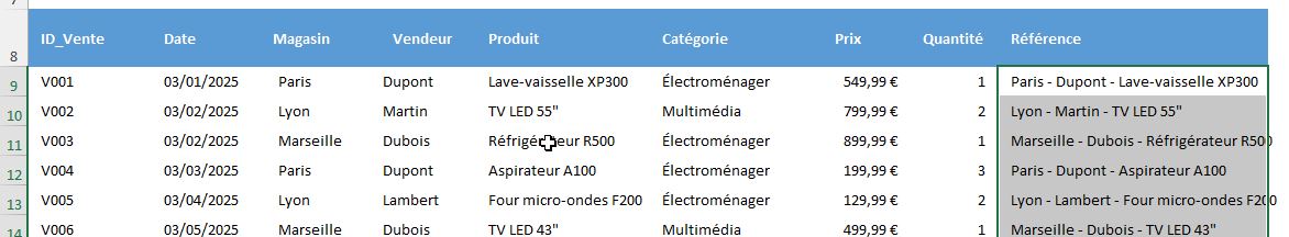 Excel formation - 0042-concatener pour tous - 03