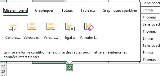 Excel formation - 0113-analyseRapide - 02