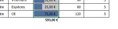Excel formation - 0113-analyseRapide - 08