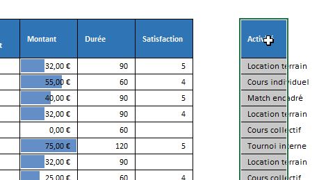 Excel formation - 0113-analyseRapide - 09