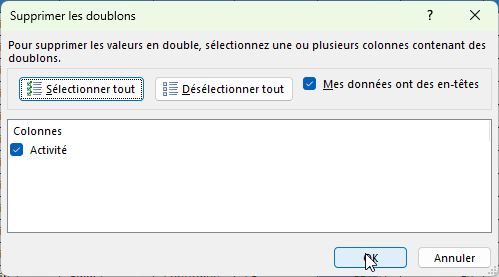 Excel formation - 0113-analyseRapide - 10