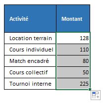 Excel formation - 0113-analyseRapide - 13