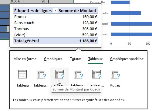 Excel formation - 0113-analyseRapide - 16